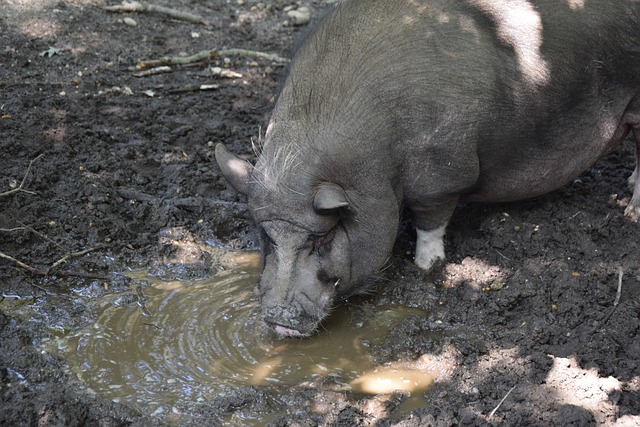 仅让他们在 仅让他们在