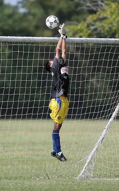 球队的战绩 球队的战绩