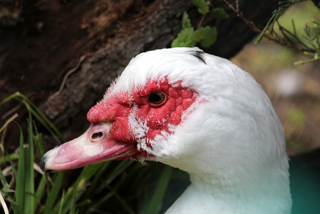 的一刻莫過 的一刻莫過