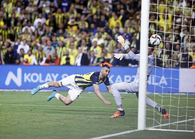 无疑令球队 无疑令球队