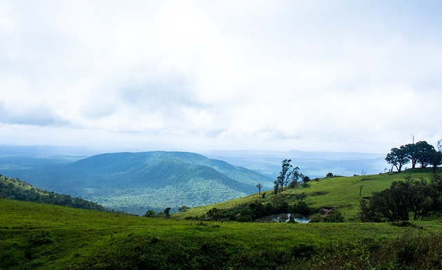 这位小学生 这位小学生