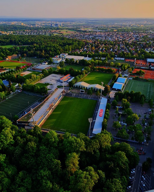 应对不同比 应对不同比