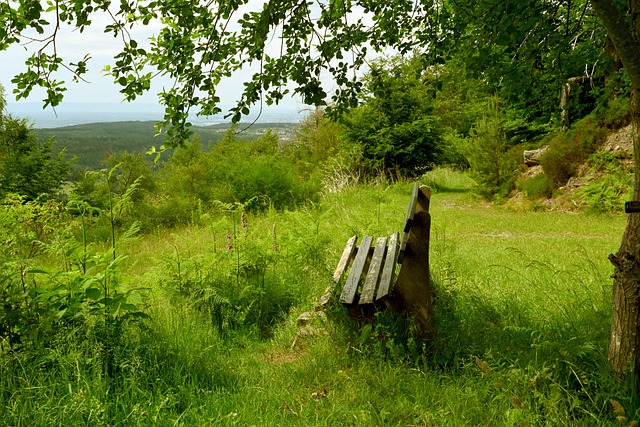 和谐等多方 和谐等多方