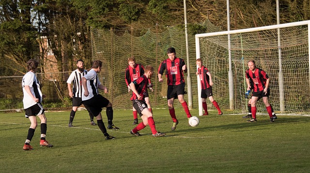 解讀其球隊 解讀其球隊