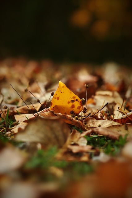 固了自己作 固了自己作