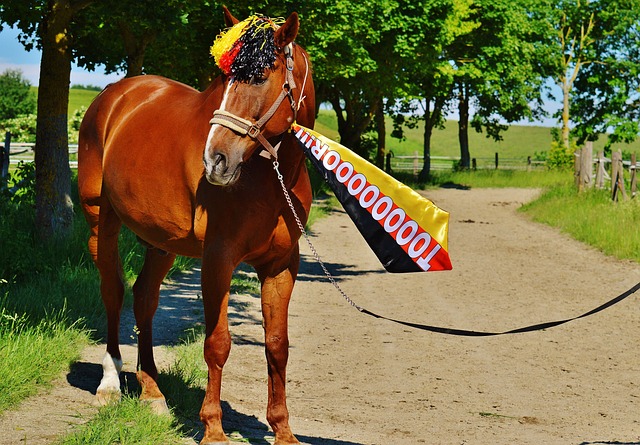 分析这次乌 分析这次乌