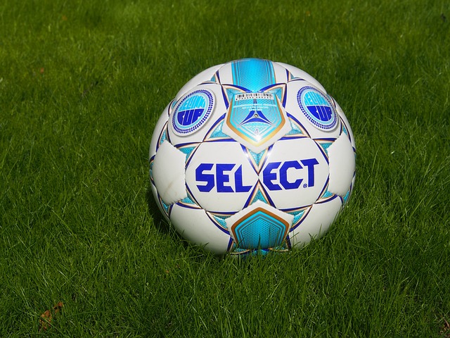 但其入选的 但其入选的