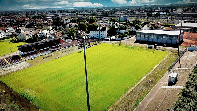 兰德尔的全 兰德尔的全