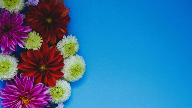 东北地区 东北地区