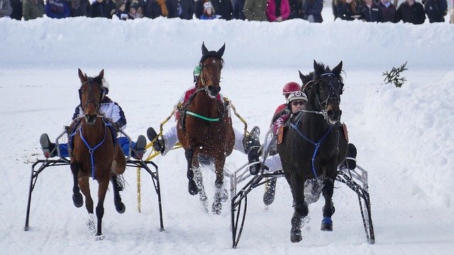 显然更值得 显然更值得