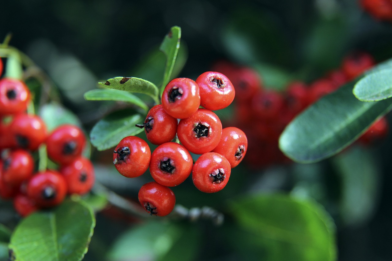 不同城市间 不同城市间