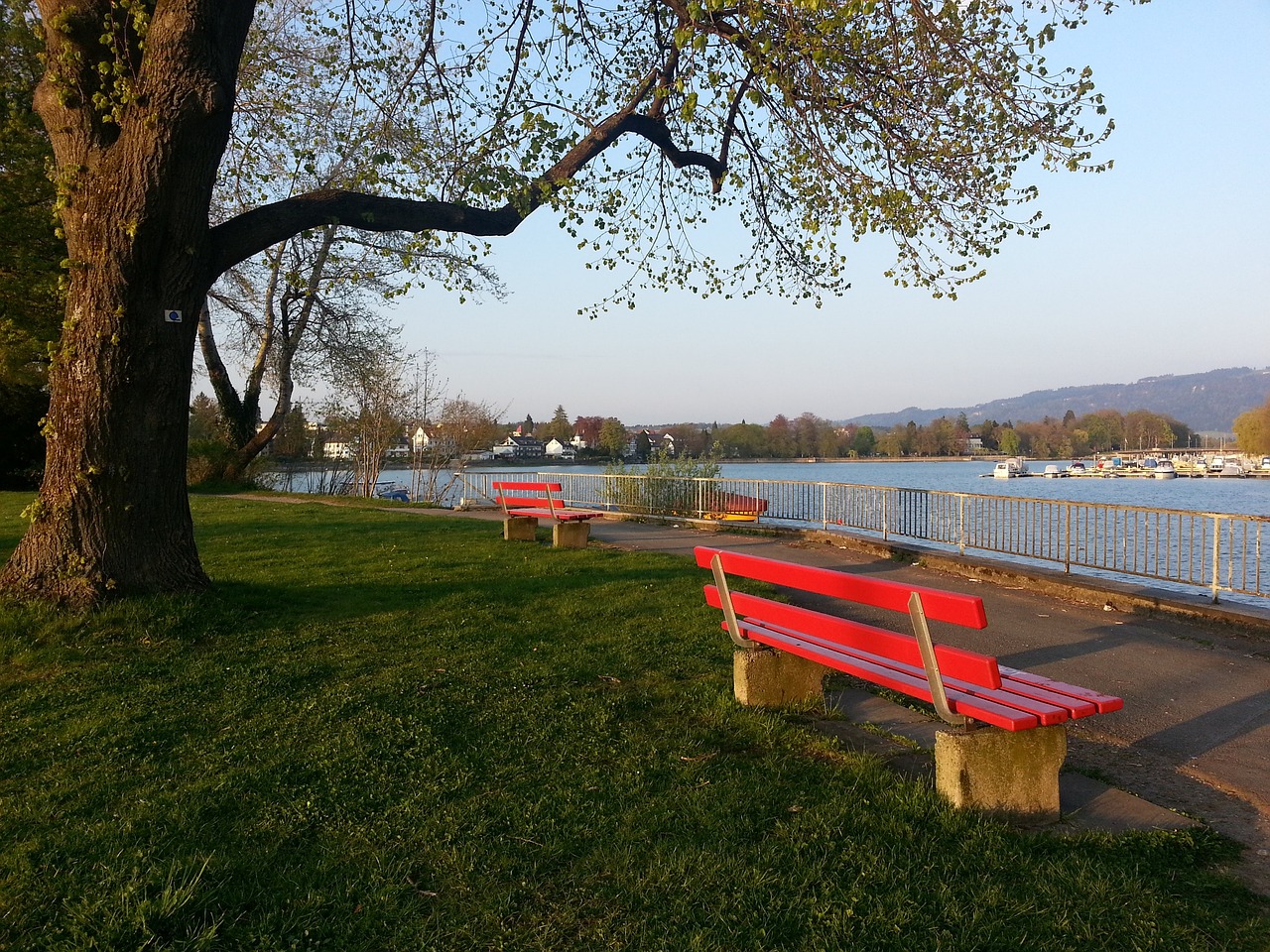 成为全场的 成为全场的